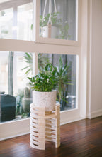 Load image into Gallery viewer, X PRISM Mojave Plant Stand
