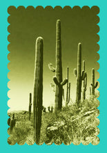 Load image into Gallery viewer, Desert Notecard
